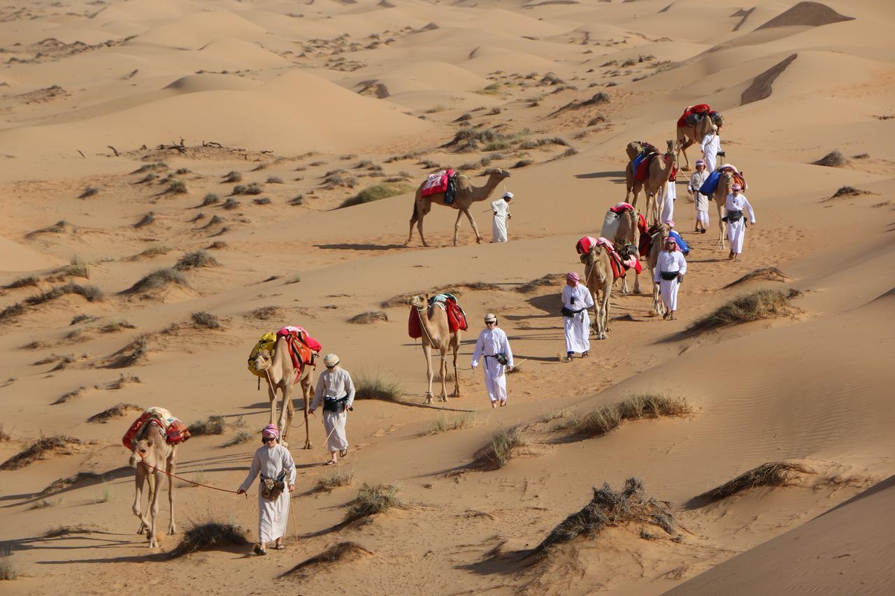 منتجع مخيم سفاري الصحراء شاحك